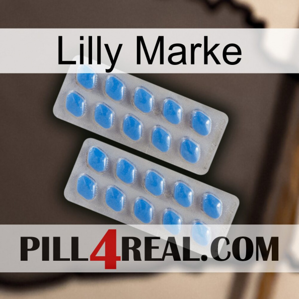 Lilly Brand 23.jpg